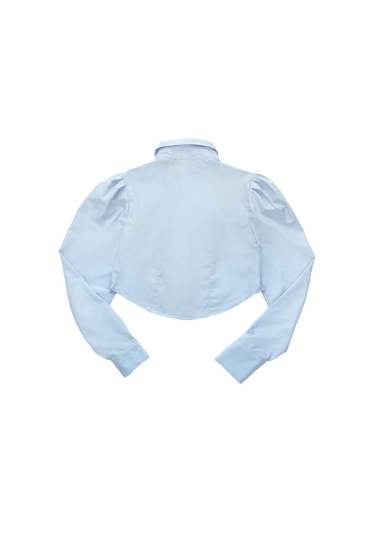 Delicate princess sleeve arc shirt-pink blue